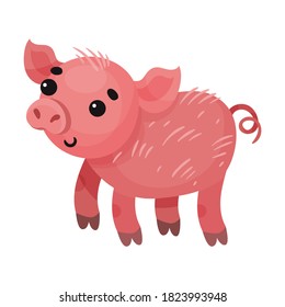 Pink Pig with Curly Tail as Farm Animal Vector Illustration
