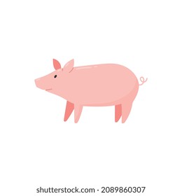 Pink pig farm animal and good luck talisman icon or symbol, flat vector illustration isolated on white background. Lucky pig fortune charm or wealth amulet.