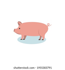 Pink pig in flat style isolated on white background. Pig icon for web and banners. Vector illustration eps 10