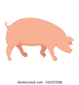 Pink pig in flat style isolated on white background. Pig icon for web and banners. Vector illustration