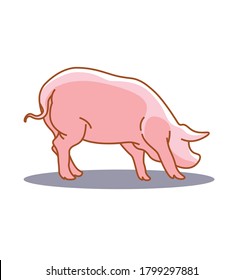 Pink pig, graphic flat line style, animal concept, vector illustration on white background