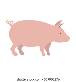 pink pig icon