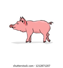 Pink pig object. Vector