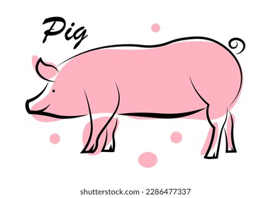 
Cerdo rosa con un fondo blanco.