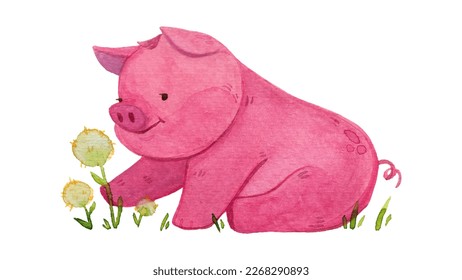 Pink pig watching flowers. Animal painted with watercolors. Vector illustration cartoon animal isolated on white.