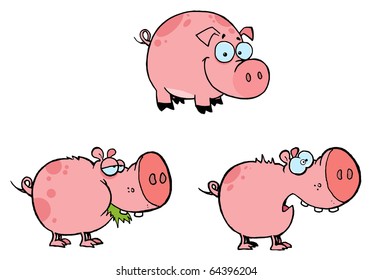 Pink Pigs Collection