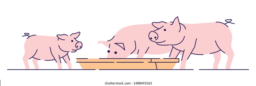 Pink pigs feeding flat vector illustration. Livestock farming, animal husbandry and breeding cartoon concept with outline. Meat production farm. Hog, piglets eating isolated on white background