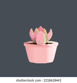pink plant in the pot with pixel art style
