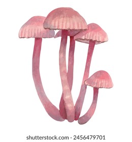 Pink poisonous mushroom Mycena. Illustration with watercolors and markers. Hand drawn isolated art. A botanical small forest plant with a pinkish hood and a slender stalk. Fantastic nature.Vector.