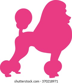 Pink Poodle 