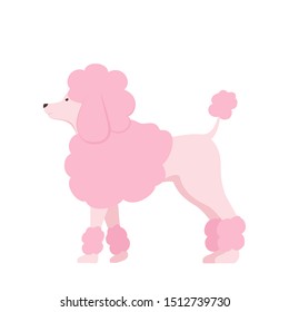 Pink poodle isolated on white background. Cute dog cartoon character. Childish vector illustration with pet can be used for holiday cards, children's clothing design, invitations, banners, animal shop