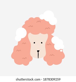 Pink poodle puppy haircut styles with bubble at Groomer Salon Dog friendly area. Pet Hair Salon, Styling and Grooming Shop. Pet Store for Dogs. Cute Design vector elements illustration