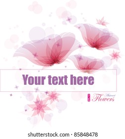 Pink poppies, vector illustration, Isolated on white background, eps-10