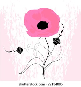 pink poppy flower