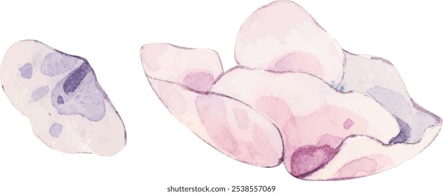 Uma flor de papoula rosa e pétalas