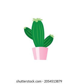 Pink Pot Cactus Isolated Vector Illustration