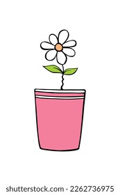 Pink pot with flower chamomile. Hand drawn simple outline color vector illustration in doodle style, isolated. Design element, clip art for decoration