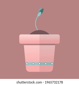 Pink pot and green sprout