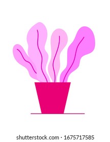 Pink pot with plants graphic trendy illustration.