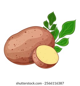 Pink potato with leaves, whole and sliced, vector illustration isolated on white background, eps10