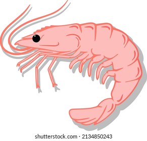 Pink Prawn pattern. hand drawn vector pattern design. Seafood concept. Mediterranean food pattern. Seafood texture design for web banner and print.