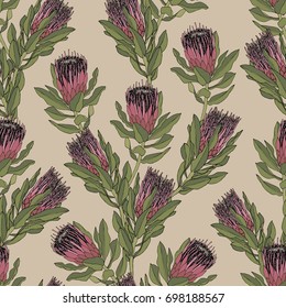 Pink Protea flower vector illustration. Seamless pattern design on a beige background.