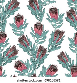 Pink Protea flower vector illustration. Seamless pattern design on a white background.