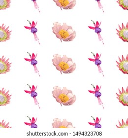 Pink Protea. Pink and Purple Fuchsia Bella. Pink Peony. Vector illustration. Seamless background pattern. Floral botanical flower. Wild leaf wildflower isolated. Exotic tropical hawaiian jungle.