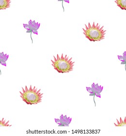 Pink Protea. Purple Lotus. Vector illustration. Seamless background pattern. Floral botanical flower. Wild leaf wildflower isolated. Exotic tropical hawaiian jungle. Fabric wallpaper print texture.