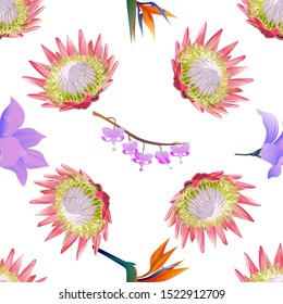 Pink Protea. Purple Magnolia. Orange Strelitzia Reginae. Purple Komakusa. Vector illustration. Seamless background pattern. Floral botanical flower. Wild leaf wildflower isolated. Exotic tropical.