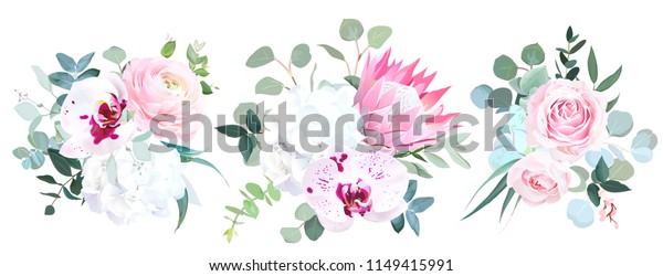 Pink Protea Ranunculus Rose Speckled Orchid Stock Vector Royalty Free 1149415991