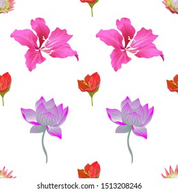 Pink Protea. Red Amaryllis. Pink Bauhinia Purpurea. Purple Lotus. Vector illustration. Seamless background pattern. Floral botanical flower. Wild leaf wildflower isolated. Exotic tropical hawaiian.
