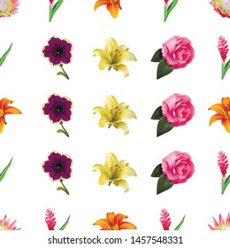 Pink Protea. Red and Pink Ginger. Orange Daylily. Violet Petunia. Yellow Lilium. Pink Balsam. Vector illustration. 