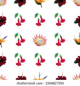 Pink Protea. Red Rose Mallow. Orange Strelitzia. Red Angel Trumpet. Vector illustration. Seamless background pattern. Floral botanical flower. Wild leaf wildflower isolated. Exotic tropical hawaiian.
