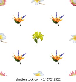 Pink Protea. White Plumeria. Orange Strelitzia. Yellow Lilium. Vector illustration. Seamless background pattern. Floral botanical flower. Wild leaf wildflower isolated. Exotic tropical hawaiian.