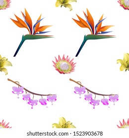 Pink Protea. Yellow Lilium. Orange Strelitzia Reginae. Purple Komakusa. Vector illustration. Seamless background pattern. Floral botanical flower. Wild leaf wildflower isolated. Exotic tropical.