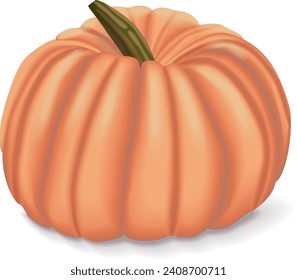 Calabazas rosas o calabaza de muñecas porcelanas. Calabaza de invierno. Cucurbita máxima. Frutas y verduras. Ilustración vectorial aislada.