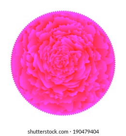 Pink with purple flower on a white background isolated