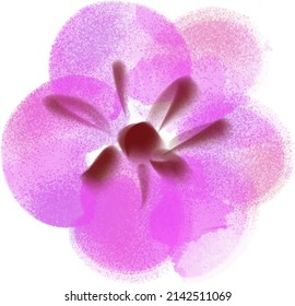 Pink purple flower watercolour illustration vector