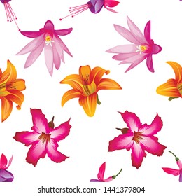 Pink and Purple Fuchsia Bella. Orange Daylily. Purple Hatiora. Pink adenium. Vector illustration. 