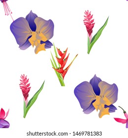 Pink and Purple Fuchsia Bella. Purple Orchid. Red and Pink Ginger. Red Heliconia Bihai. Vector illustration. Seamless background pattern. Floral botanical flower. Wild leaf wildflower isolated.