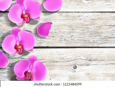 Pink purple orchids flowers on natural vintage white wooden background top view. Vector illustration of realistic violet orchids flowers with wood texture close up.
