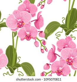 Pink purple phalaenopsis moth orchid flowers, buds, green leaves, stem, roots. Botanical floral seamless pattern texture on white background. Vector design illustration for fashion, fabric, textile.