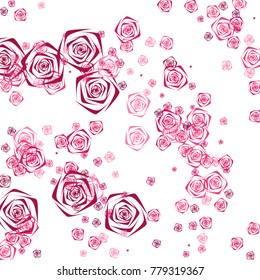 Pink and purple roses of different sizes on a white background. Flowers. Beautiful background of Pink roses. Vector illustration. Placer of flowers. Vector drawing of roses.