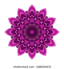 Pink and purple round mandala isolated on white background. Vector illustration