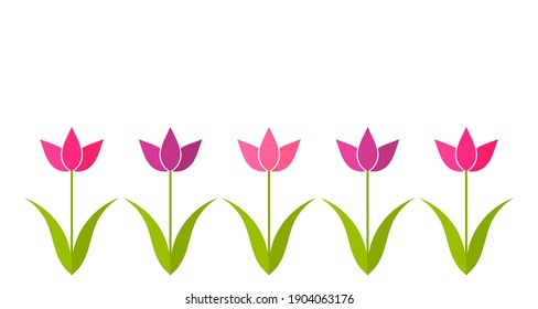 Pink and purple tulip flowers border background. Vector illustration.