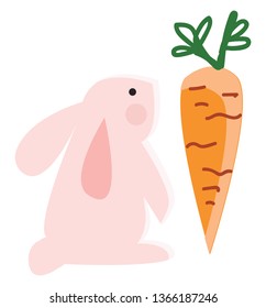 Pink rabbit with carrot vector or color illustration