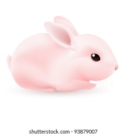 Pink Rabbit. Illustration on white background for design
