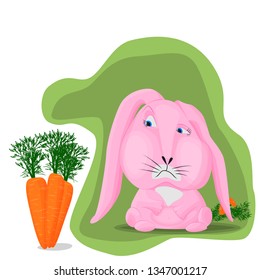 Pink rabbit on a green background with sadness looks at a large ripe carrot. Behind a lot of leftovers from eating carrots. Concept of immoderation in desires, food, gluttony.