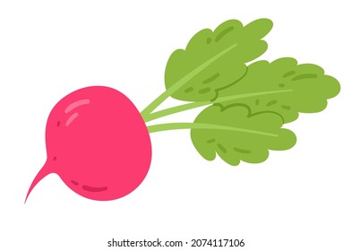 Pink Radish flat. Isolated on white background. Vector icon.